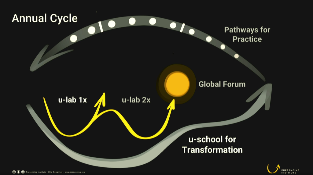 Visualización ulab